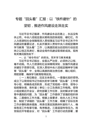 专题“回头看”汇报：以“铁杵磨针”的坚韧，推进作风建设走深走实