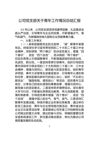公司党支部关于青年工作情况总结汇报