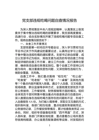 党支部违规吃喝问题自查情况报告