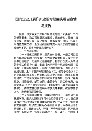 国有企业开展作风建设专题回头看自查情况报告