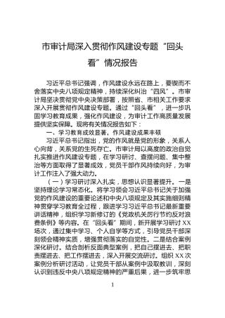 市审计局深入贯彻作风建设专题“回头看”情况报告