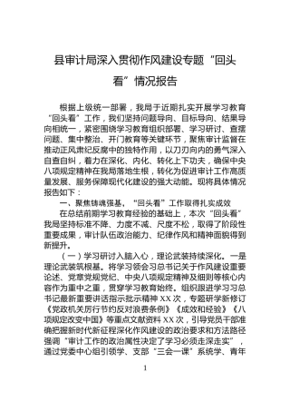 县审计局深入贯彻作风建设专题“回头看”情况报告