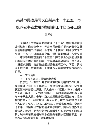 某某市民政局局长在某某市“十五五”市级养老事业发展规划编制工作座谈会上的汇报
