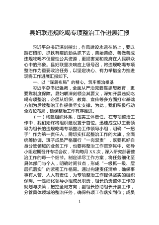 县妇联违规吃喝专项整治工作进展汇报