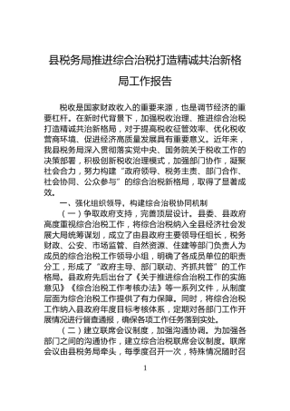县税务局推进综合治税打造精诚共治新格局工作报告