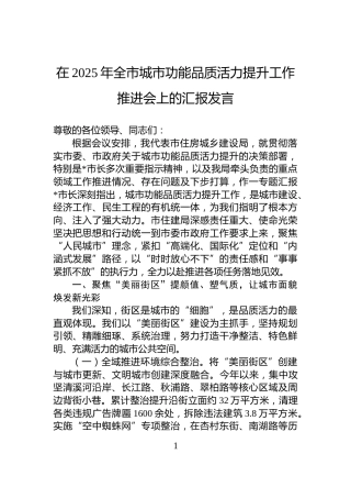 在2025年全市城市功能品质活力提升工作推进会上的汇报发言