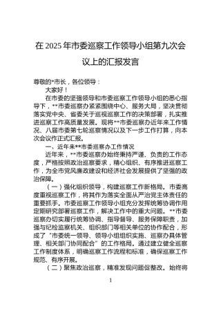 在2025年市委巡察工作领导小组第九次会议上的汇报发言