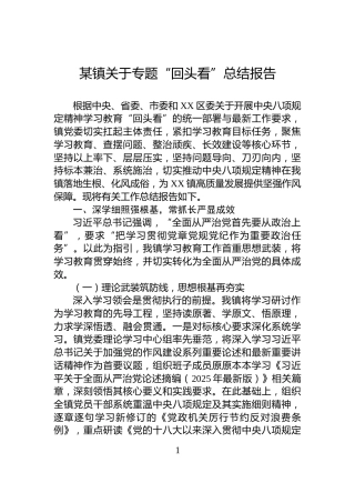 某镇关于专题“回头看”总结报告