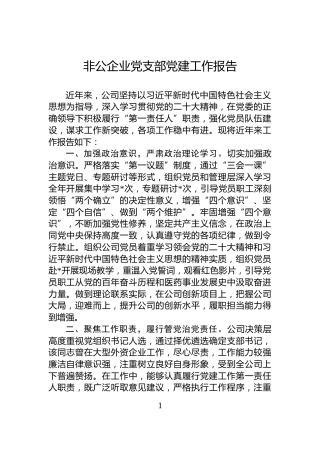 非公企业党支部党建工作报告