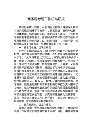 商务局专题工作总结汇报