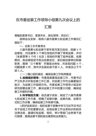 在市委巡察工作领导小组第九次会议上的汇报