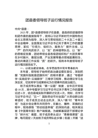 团县委领导班子运行情况报告