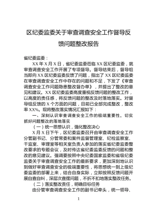 区纪委监委关于审查调查安全工作督导反馈问题整改报告