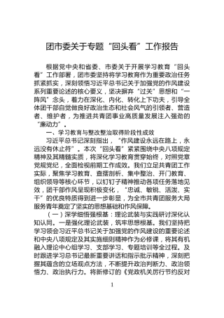 团市委关于专题“回头看”工作报告