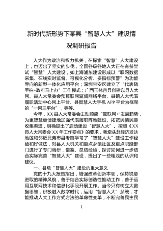 新时代新形势下某县“智慧人大”建设情况调研报告
