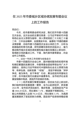 在2025年市委城乡区域协调发展专题会议上的工作报告