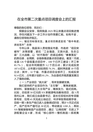 在全市第二次重点项目调度会上的汇报