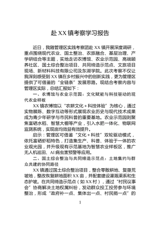 赴XX镇考察学习报告