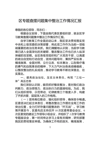 区专题查摆问题集中整治工作情况汇报