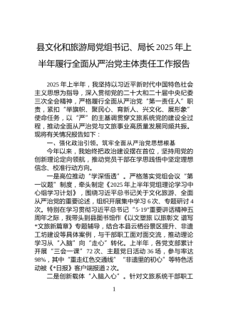 县文化和旅游局党组书记、局长2025年上半年履行全面从严治党主体责任工作报告