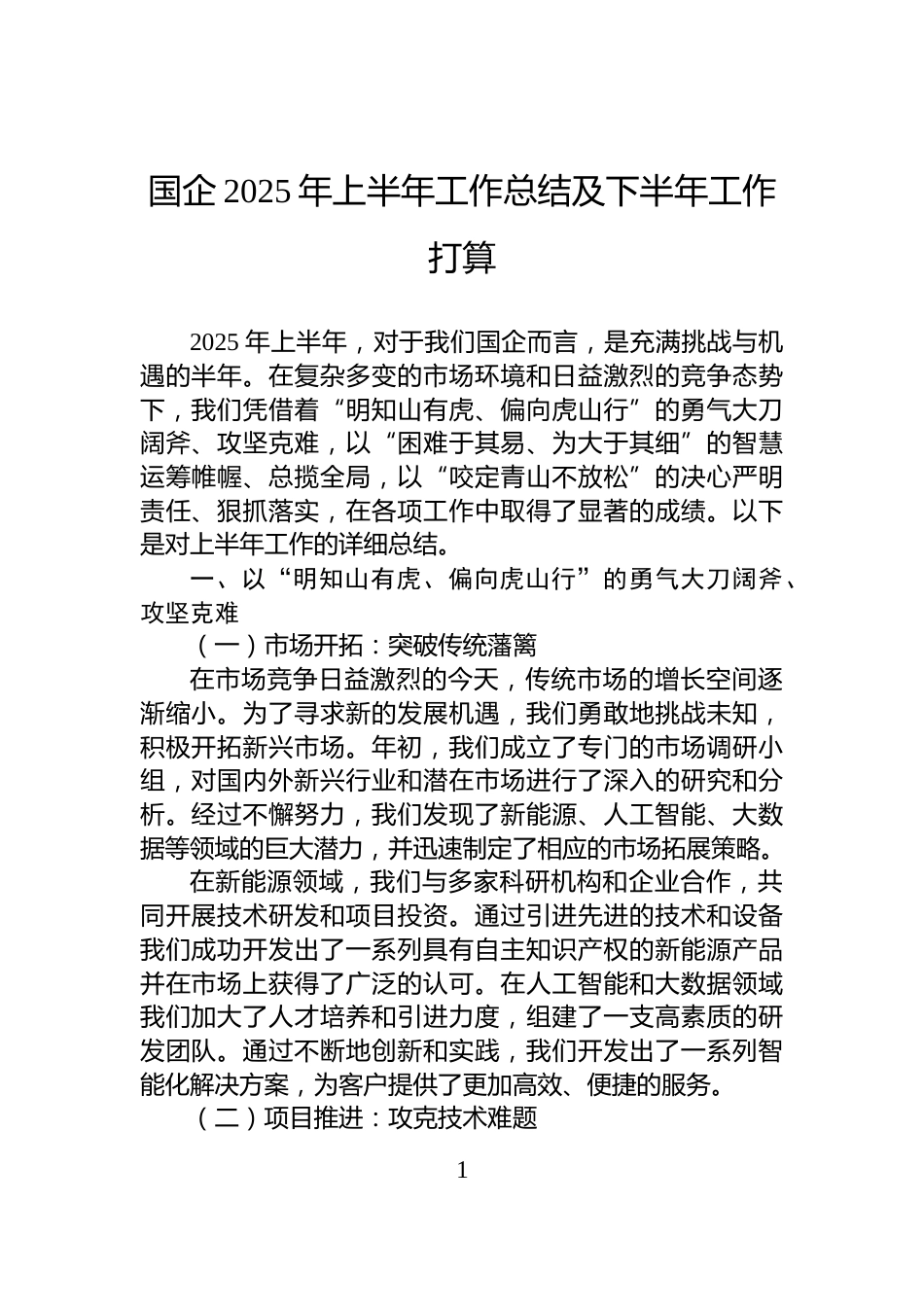 国企2025年上半年工作总结及下半年工作打算_第1页