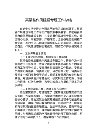 某某省作风建设专题工作总结