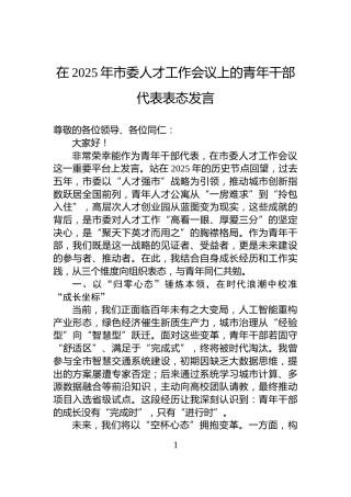 在2025年市委人才工作会议上的青年干部代表表态发言