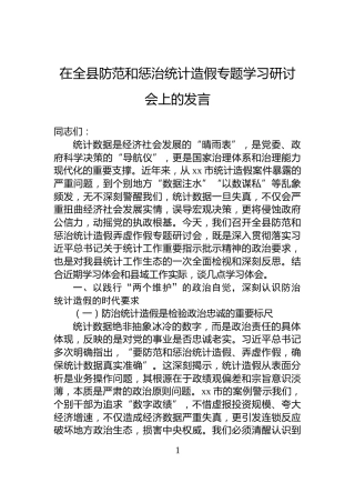 在全县防范和惩治统计造假专题学习研讨会上的发言