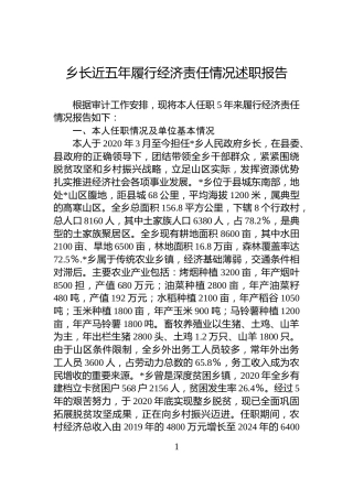 乡长近五年履行经济责任情况述职报告