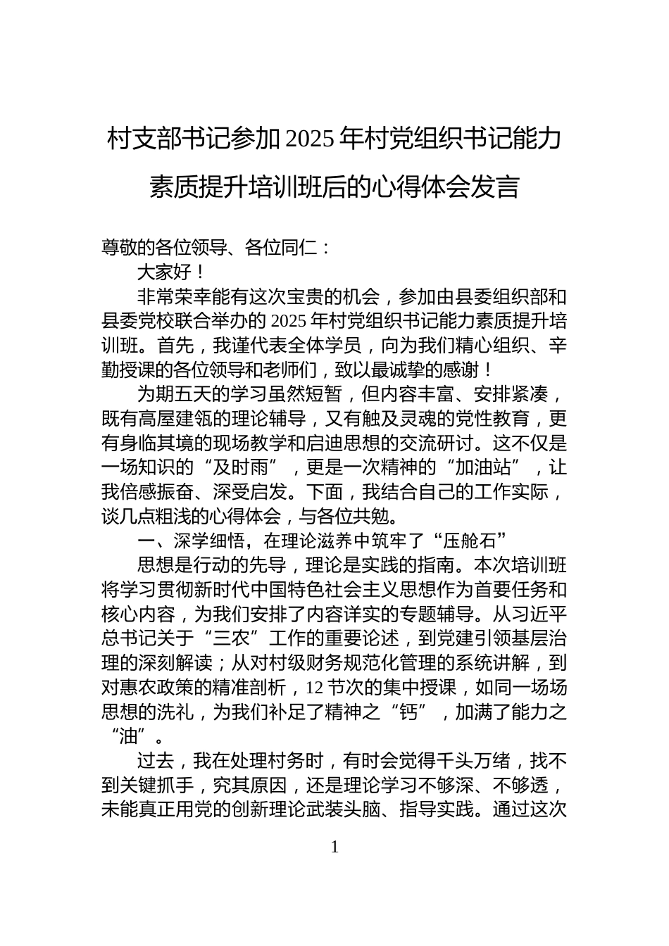 村支部书记参加2025年村党组织书记能力素质提升培训班后的心得体会发言_第1页
