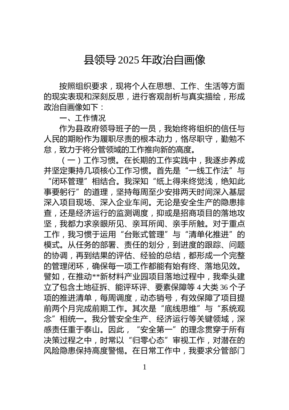 县领导2025年政治自画像_第1页