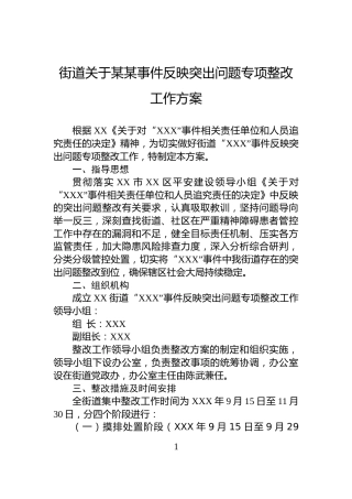 街道关于某某事件反映突出问题专项整改工作方案