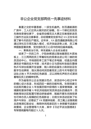 非公企业党支部两优一先事迹材料
