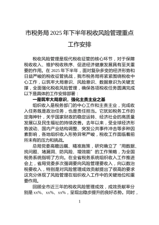 市税务局2025年下半年税收风险管理重点工作安排
