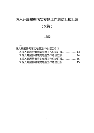 深入开展贯彻落实专题工作总结汇报汇编（5篇）