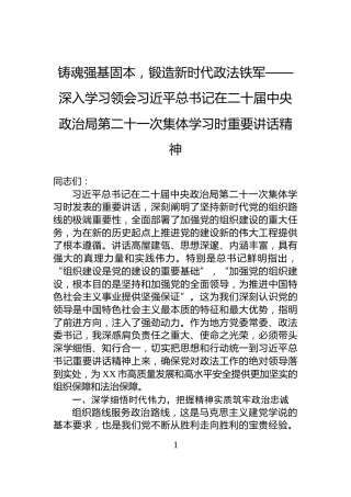 铸魂强基固本，锻造新时代政法铁军——深入学习领会习近平总书记在二十届中央政治局第二十一次集体学习时重要讲话精神