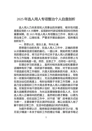 2025年选人用人专项整治个人自查剖析