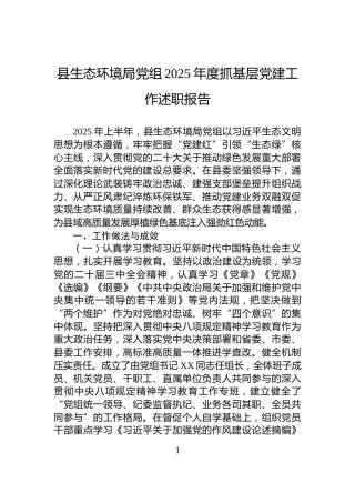 县生态环境局党组2025年度抓基层党建工作述职报告
