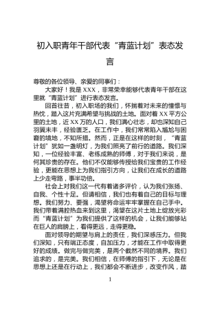 初入职青年干部代表“青蓝计划”表态发言
