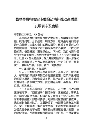 县领导贯彻落实市委约谈精神推动高质量发展表态发言稿