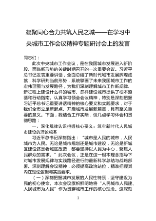 凝聚同心合力共筑人民之城——在学习中央城市工作会议精神专题研讨会上的发言