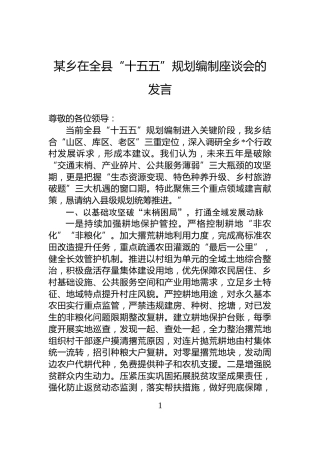 某乡在全县“十五五”规划编制座谈会的发言