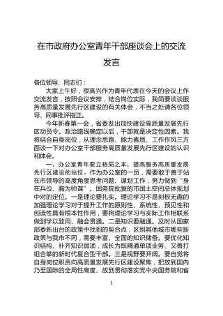 在市政府办公室青年干部座谈会上的交流发言