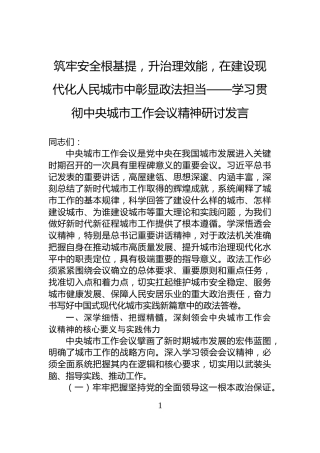 筑牢安全根基提，升治理效能，在建设现代化人民城市中彰显政法担当——学习贯彻中央城市工作会议精神研讨发言