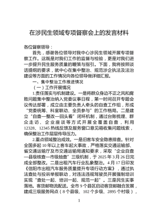 在涉民生领域专项督察会上的发言材料