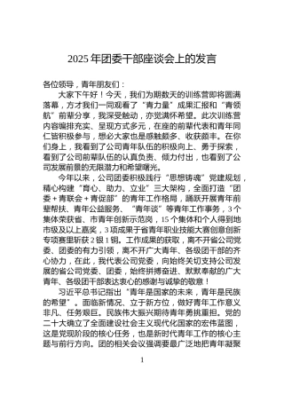 2025年团委干部座谈会上的发言