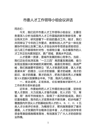 市委人才工作领导小组会议讲话