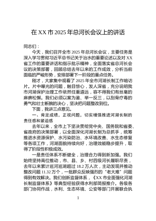 在XX市2025年总河长会议上的讲话