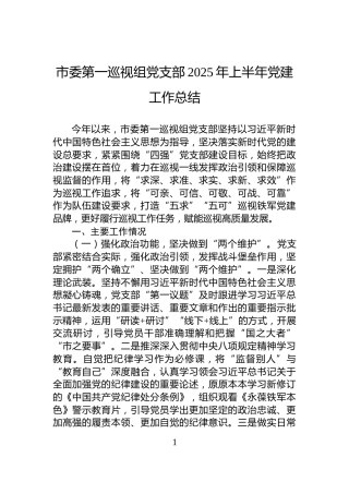 市委第一巡视组党支部2025年上半年党建工作总结