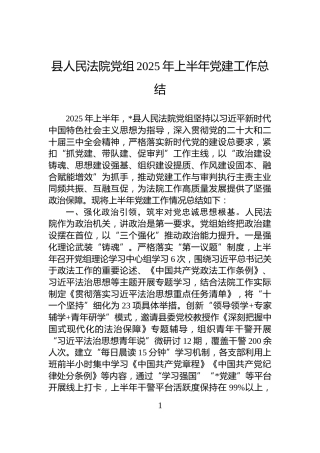 县人民法院党组2025年上半年党建工作总结